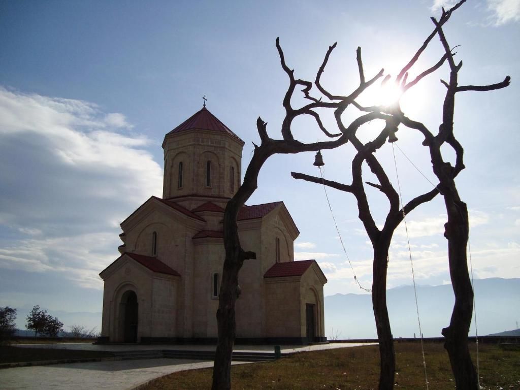 Отель Resort Hotel surami Сурами